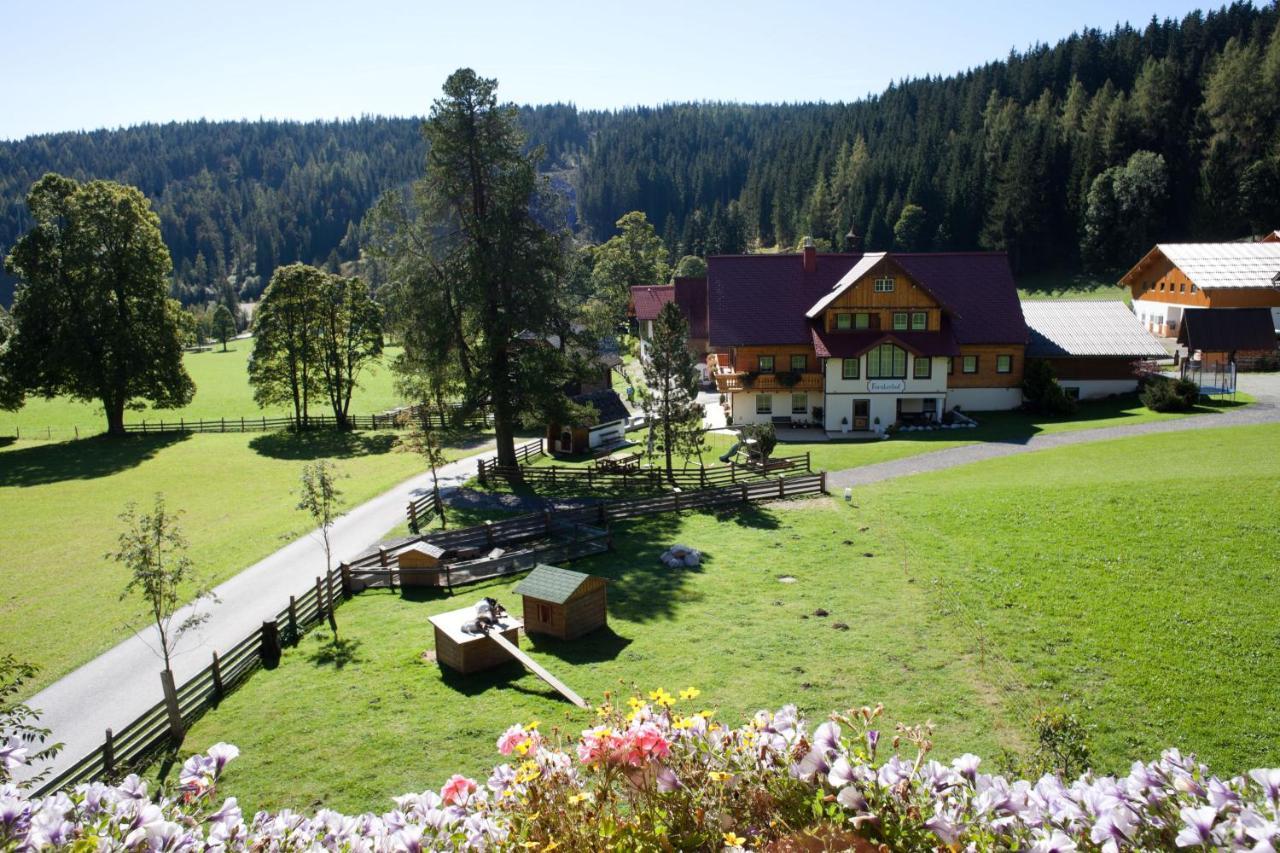 Ferienwohnung Alpenecho Ramsau am Dachstein Bagian luar foto